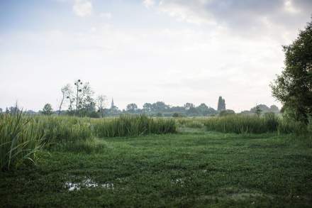 La Mare aux Oiseaux