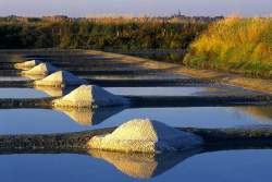 Les marais salants de Guérande