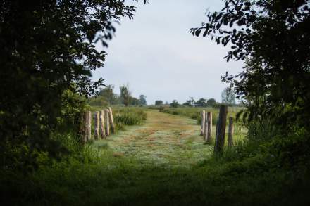 La Mare aux Oiseaux