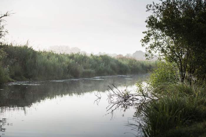 La Mare aux Oiseaux